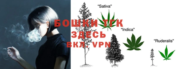 MESCALINE Аркадак