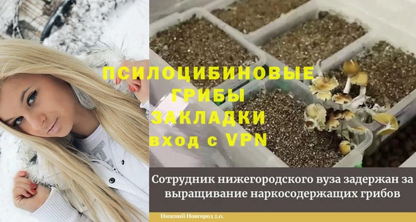 MESCALINE Аркадак