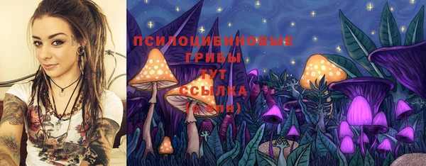 стаф Армянск