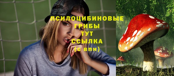 MESCALINE Аркадак