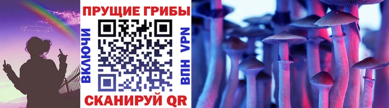 дарнет шоп Аксай Галлюциногенные грибы MAGIC MUSHROOMS